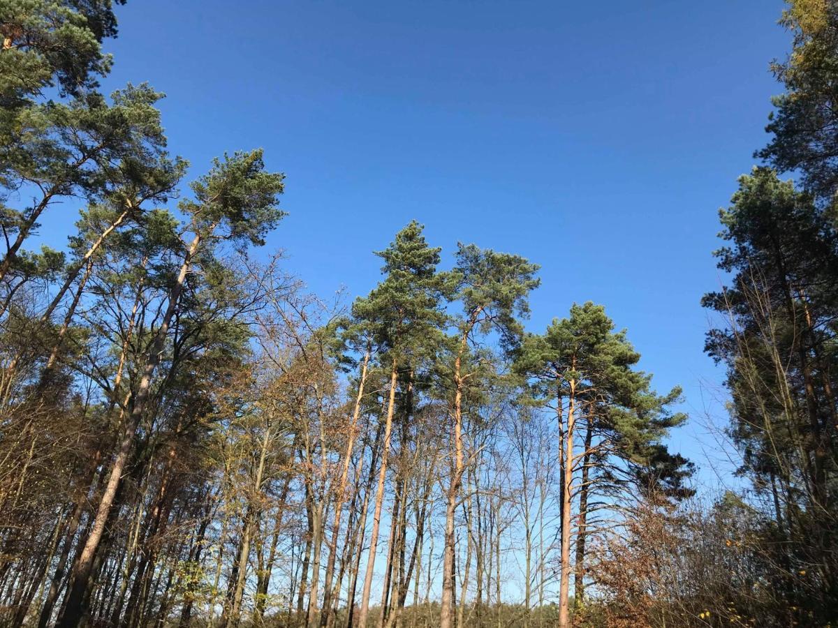Domki Radawa Na Kliszowce Bagian luar foto