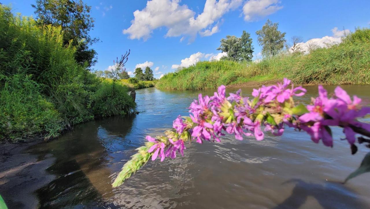 Domki Radawa Na Kliszowce Bagian luar foto