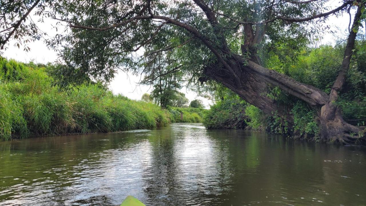 Domki Radawa Na Kliszowce Bagian luar foto
